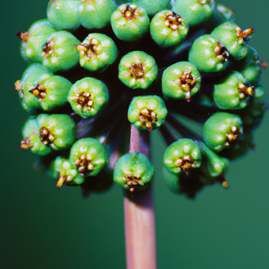 Peptider - den revolutionerande nya tekniken som utmanar det befintliga systemet